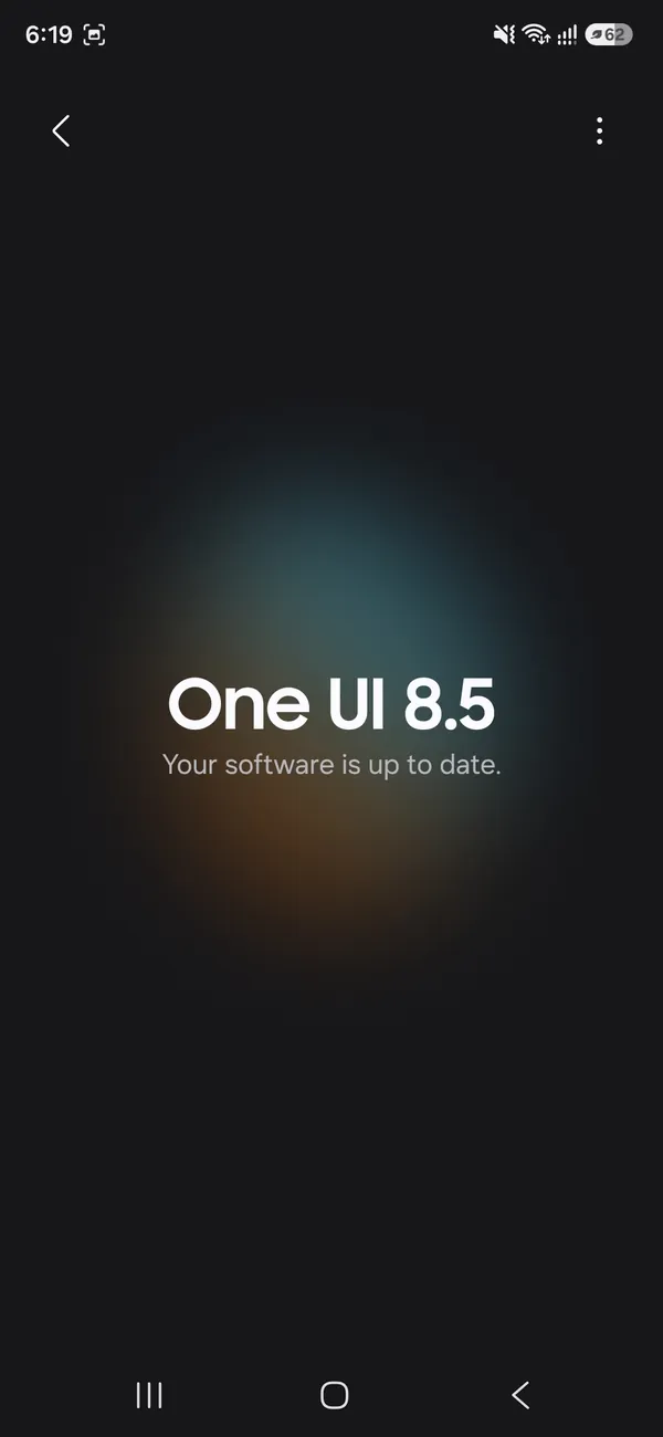 Samsung Software update screen saying Your software is up to date
